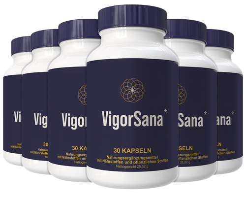 vigorsana 6 bottles h2160