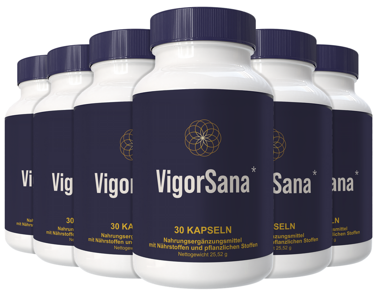 VigorSana 6er-Vorrat